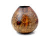 7Norfolk-Is_-Pine-Vase.jpg