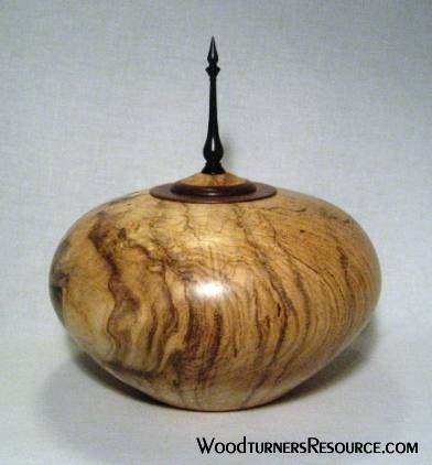 Spalted Elm Hollow Form