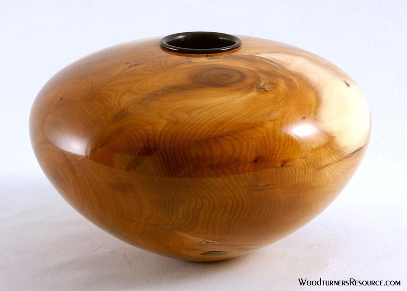Pacific Yew with Ebony Collar